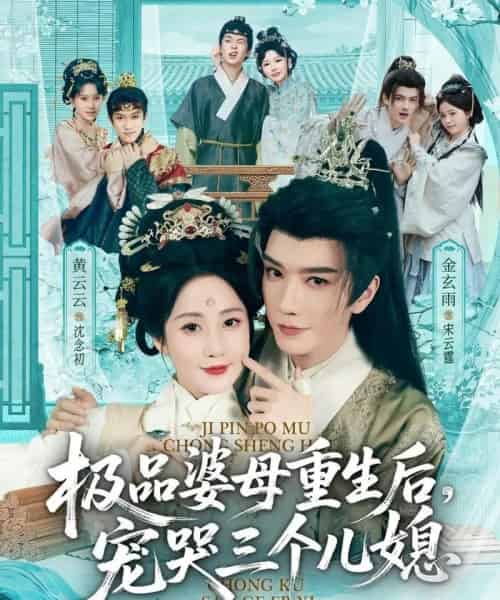 穿成极品婆母，带儿媳拳打渣男＆极品婆母重生后，宠哭三个儿媳（92集全）金玄雨＆黄云云-搜外项目网