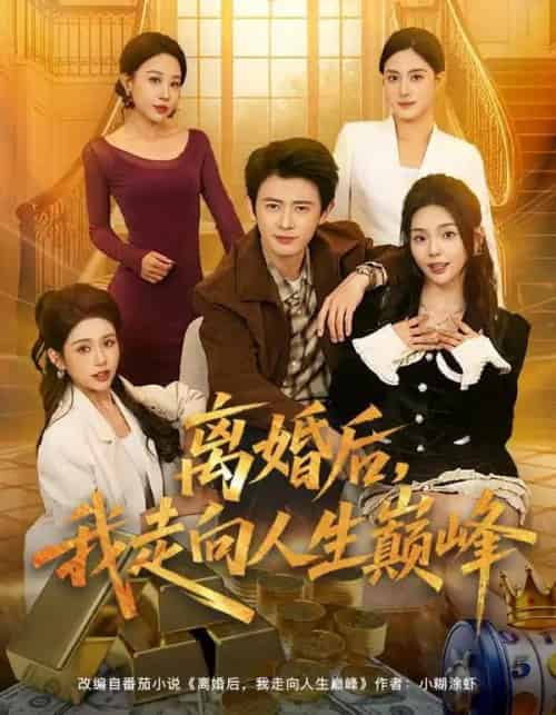 离婚后，我走向人生巅峰（85集全）朱梦茹＆王昭-搜外项目网