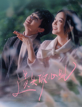 遗失的心跳(56集全)刘梓恒&许丹-搜外项目网