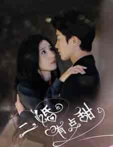 二婚有点甜（88集）贾博雅-搜外项目网