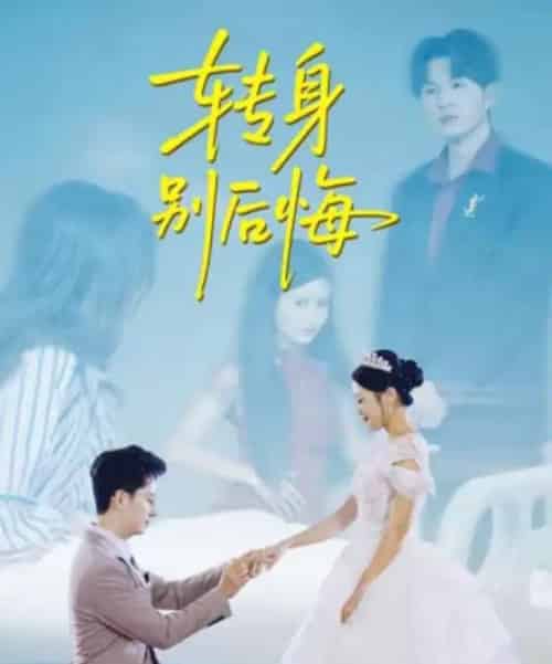 转身别后悔（38集全）嘉乐＆黄立业-搜外项目网