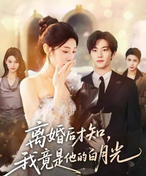 离婚后才知，我竟是他的白月光（64集全）聂文华＆焦爱迪-搜外项目网