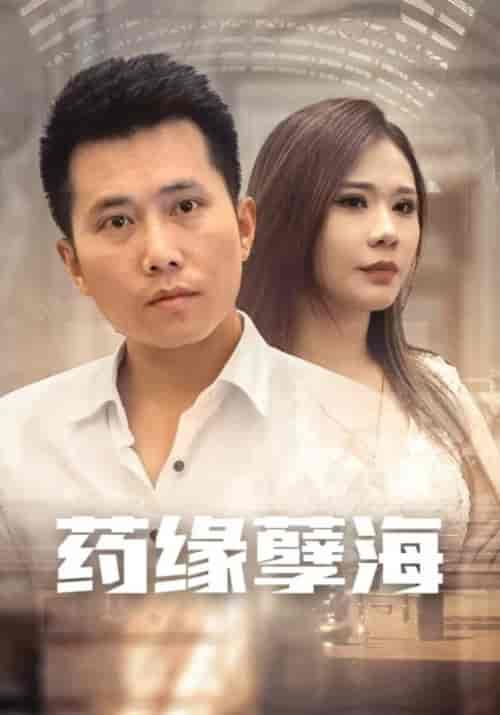 药缘孽海（100集全）叶天＆萧月华-搜外项目网