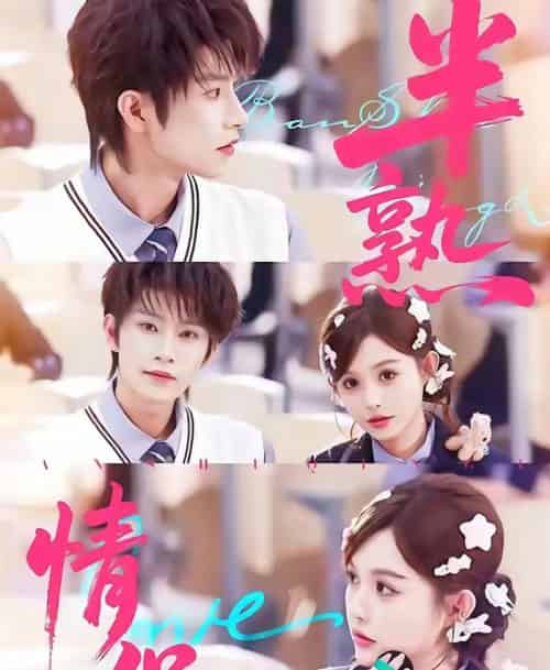 半熟情侣(85集全)黄宥天&崔晓萱-搜外项目网
