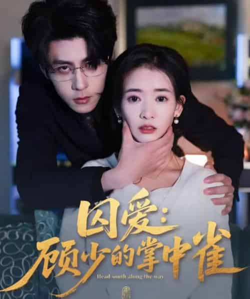 囚爱：顾少的掌中雀（70集全）安奕明＆刘姝妤-搜外项目网