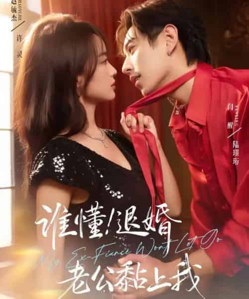 谁懂！退婚老公黏上我（64集全）赵毓杰＆闫醒-搜外项目网