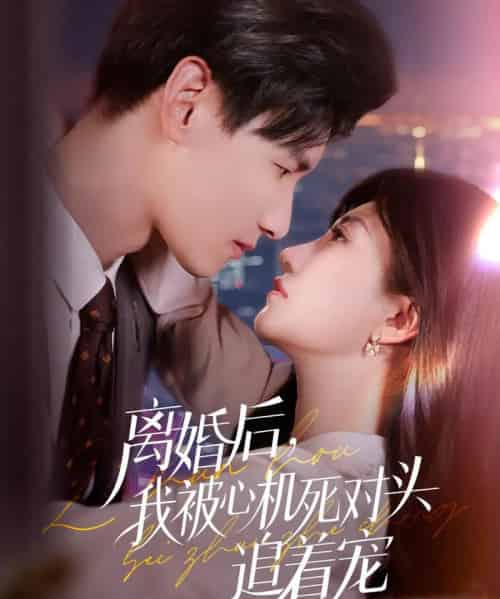 离婚后我被心机死对头追着宠(77集)杨晨&鲍治玥-搜外项目网