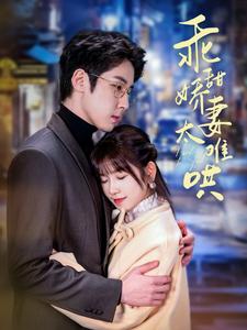 乖甜娇妻太难哄（100集全）曲笑孝-搜外项目网