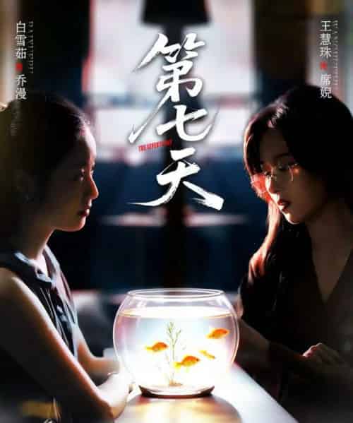 第七天（48集全）白雪茹＆王慧珠-搜外项目网