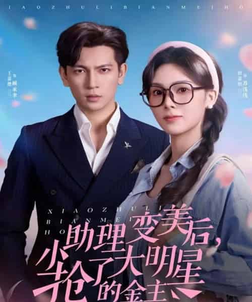 小助理变美后，抢了大明星的金主（78集全）周嘉怡＆王嘉懋-搜外项目网