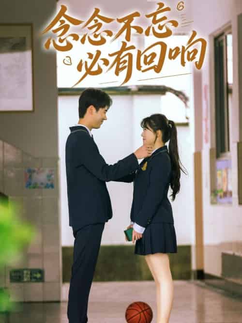 念念不忘，必有回响＆念念不忘必有回响（61集全）许焱磊＆叶嫣然＆林鑫涵-搜外项目网