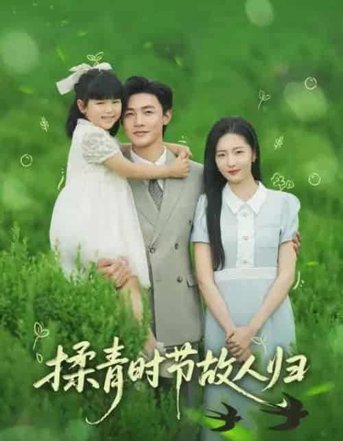 揉青时节故人归（60集）张嘉怡＆郭奕宁-搜外项目网