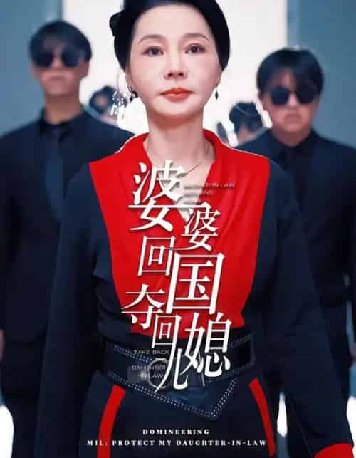 婆婆回国，夺回儿媳（63集全）张芷晨＆边沐宸-搜外项目网