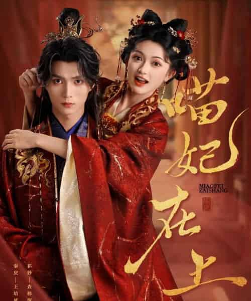 喵妃在上(64集)王培延&查袆琛-搜外项目网