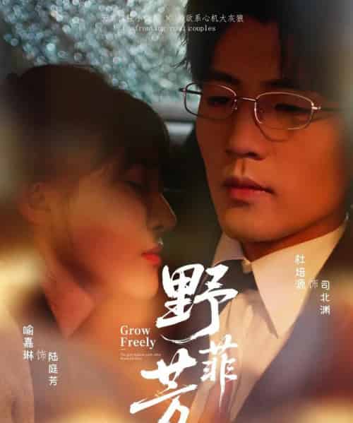 野芳菲(60集)喻嘉琳&杜培源-搜外项目网