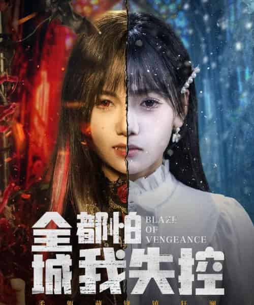 全城都怕我失控＆恶媳的愤怒（60集全）黄小再＆郭澈-搜外项目网