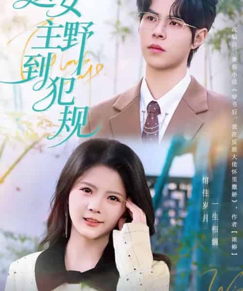 这女主野到犯规（69集全）周靖博＆卢文洁-搜外项目网