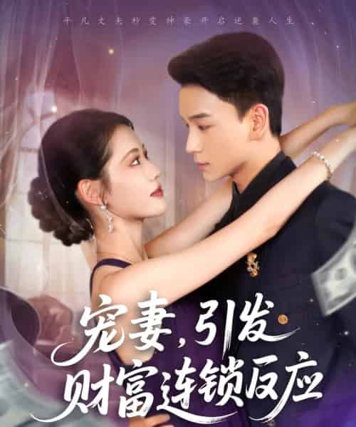 宠妻引发财富连锁的反应（80集）范高坡＆董洁-搜外项目网