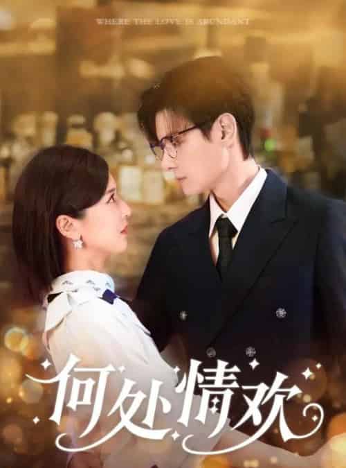 何处情欢（61集全）区天瑞＆周洋洋-搜外项目网