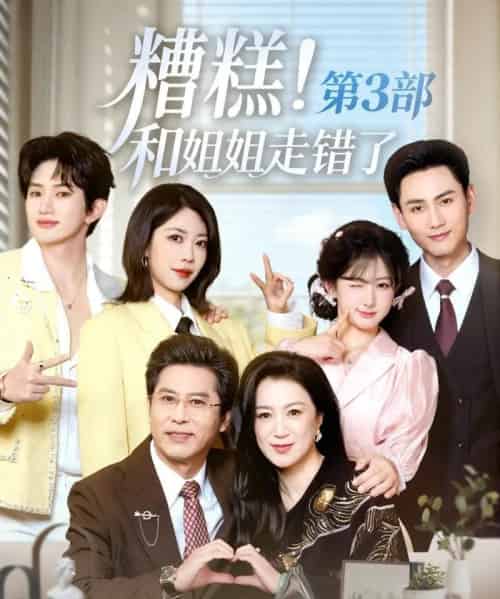 糟糕！和姐姐走错了第3部（60集全）谢予望＆汪海敏-搜外项目网