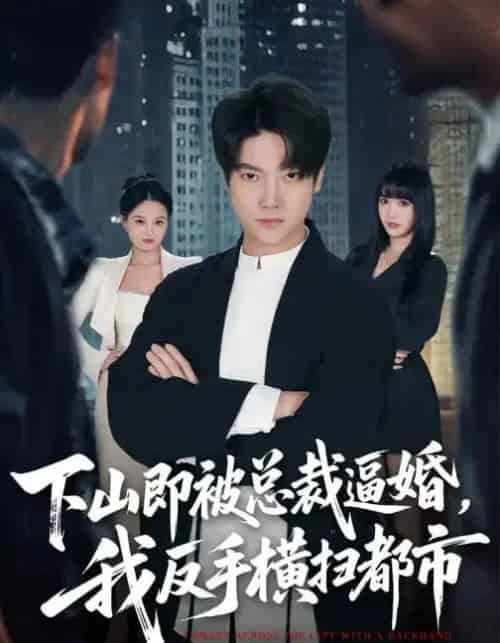 下山即被总裁逼婚，我反手横扫都市（80集全）成梓宁＆毛心童-搜外项目网