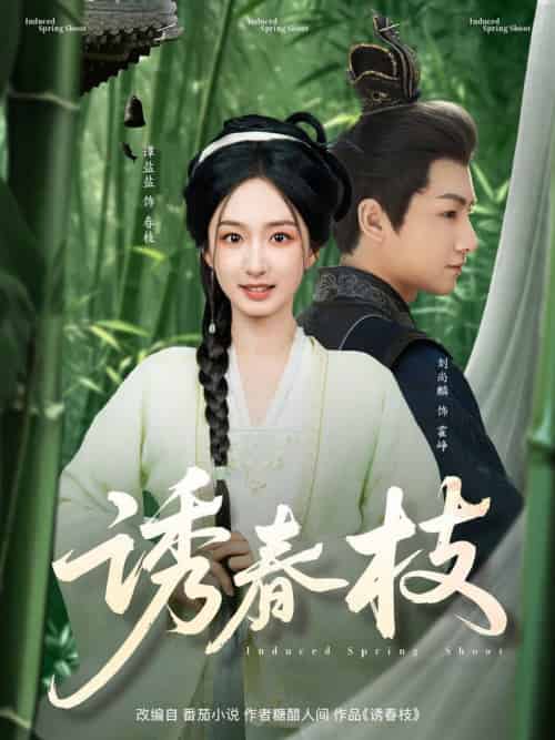 诱春枝（77集全）刘尚麟＆谭盐盐-搜外项目网