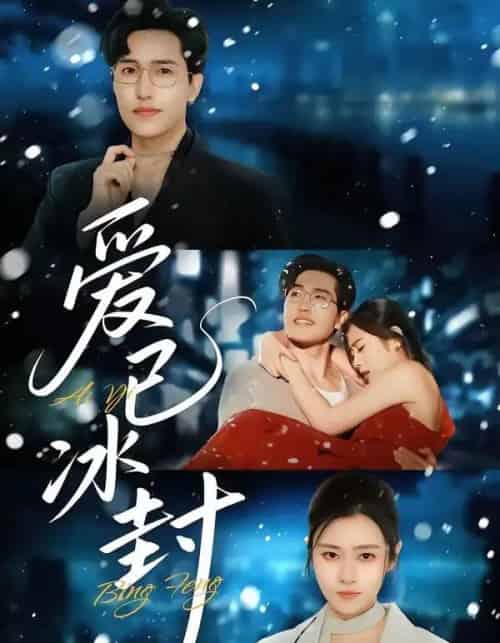 爱已冰封（62集全）刘小龙＆邹洁仪-搜外项目网