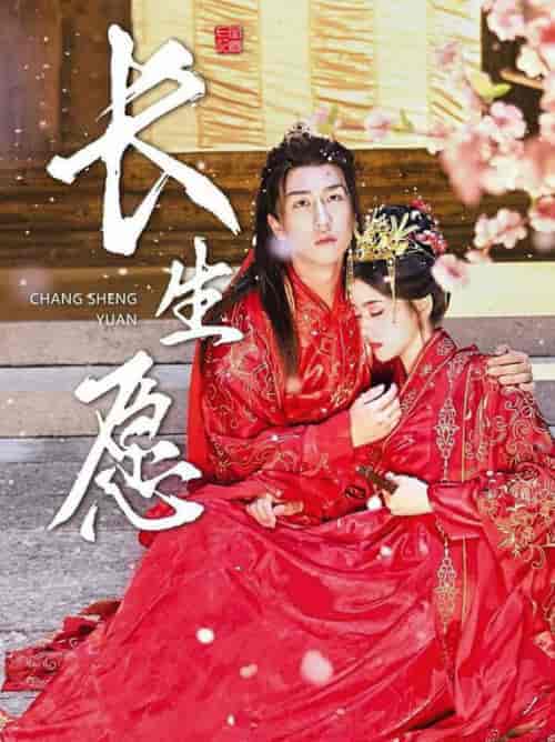 长生愿（80集全）李芊乐-搜外项目网