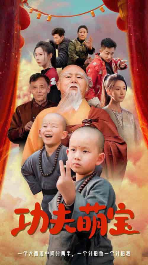 功夫萌宝（62集全）丁晓-搜外项目网