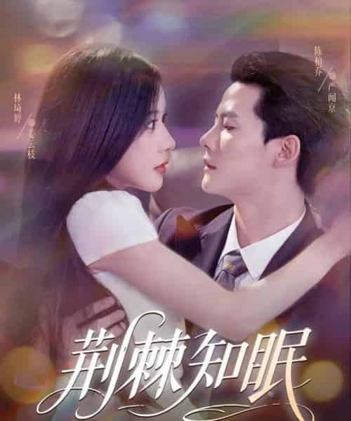 荆棘知眠（81集）陈刚（陈柏乔）＆林琦婷-搜外项目网