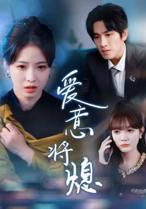 爱意将熄＆新年之金玉满堂卿不负（64集全）林可汉＆陆元-搜外项目网