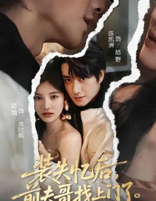 装失忆后，前夫哥找上门了（60集全）陈凯洲＆陆翊-搜外项目网