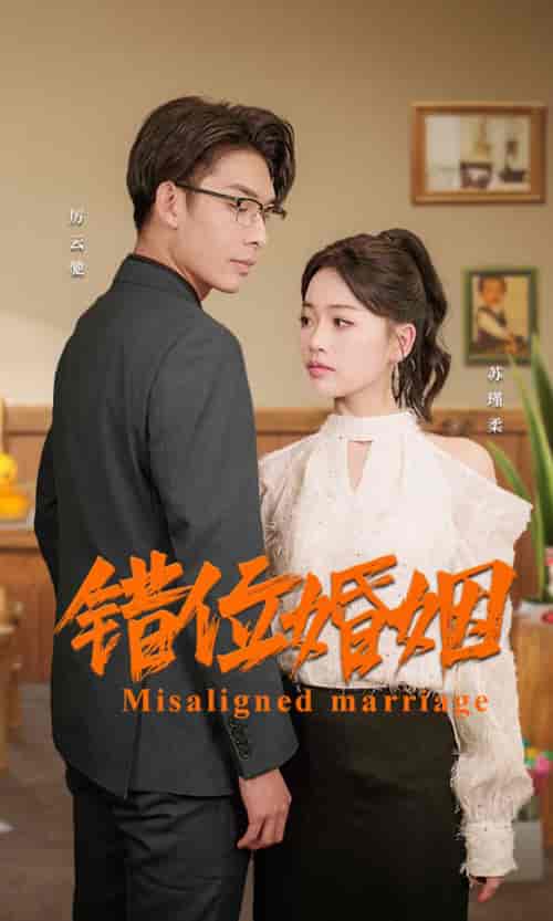 错位婚姻（50集）爆款-搜外项目网