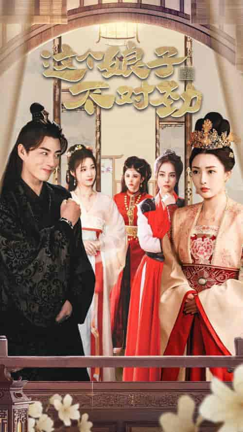 横扫六国，我家娘子竟是女帝＆这个娘子不对劲＆我家娘子不对劲＆我的老婆是女帝 穿越剧-搜外项目网