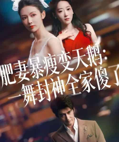 肥妻暴瘦变天鹅：瀚一舞封神全家傻了（38集全）高广泽＆潘钰-搜外项目网