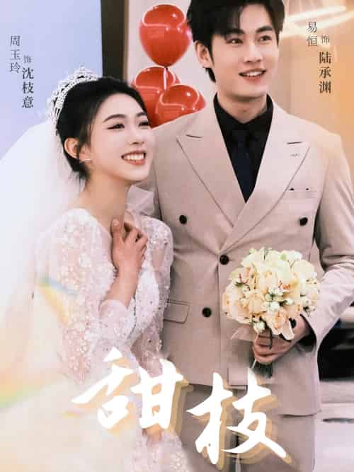 甜枝（65集）易恒＆周玉玲-搜外项目网