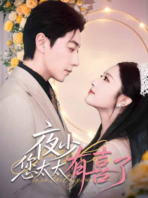 夜少，您太太有喜了（86集）宋晨＆阚梓艺＆张沫蕾-搜外项目网