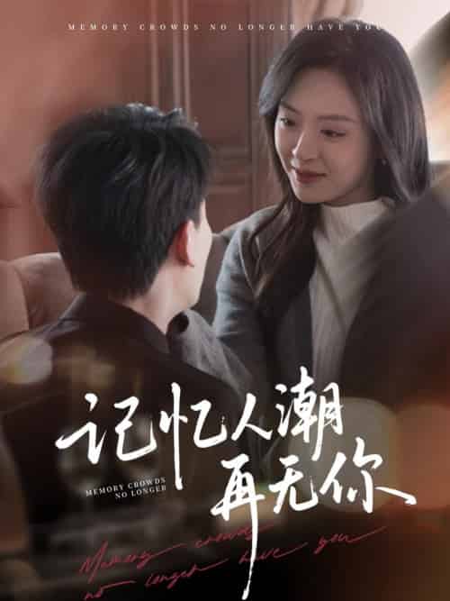 记忆人潮再无你&转身已是暮色烬(80集)宣以豪&程琳淼-搜外项目网