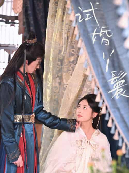 试婚丫鬟（76集）王小明＆伍昕宇-搜外项目网