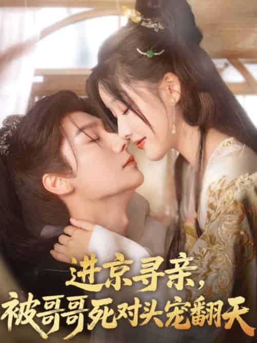 进京寻亲，被哥哥死对头宠翻天（86集）曾希瑭＆王燕飞-搜外项目网