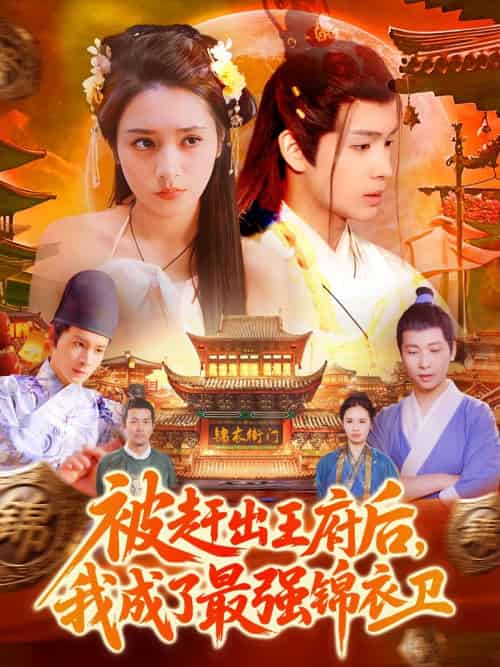 被赶出王府后，我成了最强锦衣卫（110集）范高坡＆王紫雯-搜外项目网