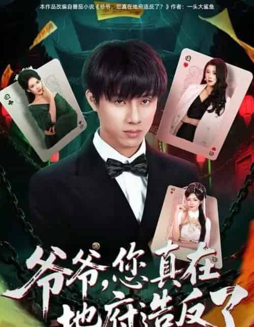 爷爷，您真在地府造反了（71集全）王玥伊＆韩金明-搜外项目网