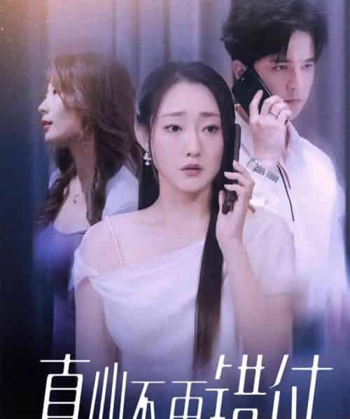 真心不再错付(51集全)吴思橦&建泽正-搜外项目网