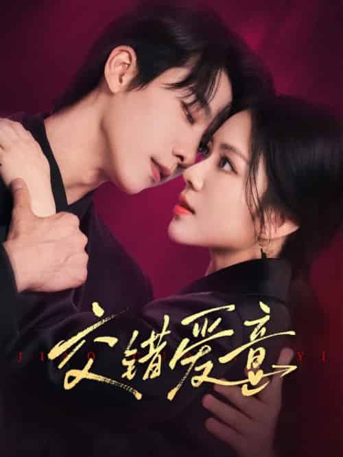 交错爱意（66集全）毛唯嘉＆张韫韬-搜外项目网