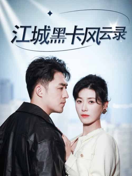 江城黑卡风云录(35集全)刘月涛&诸玲颖-搜外项目网