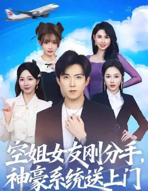 空姐女友刚分手神豪系统送上门(83集全)陈羽佳&赵阿东-搜外项目网