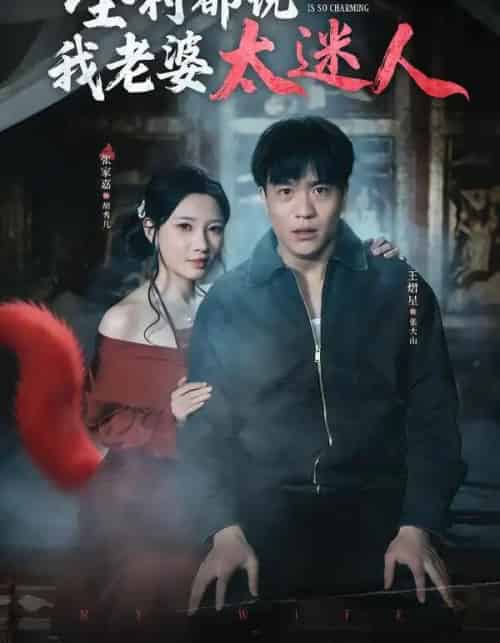 全村都说我老婆太迷人(40集全)王熠星&张家嘉-搜外项目网