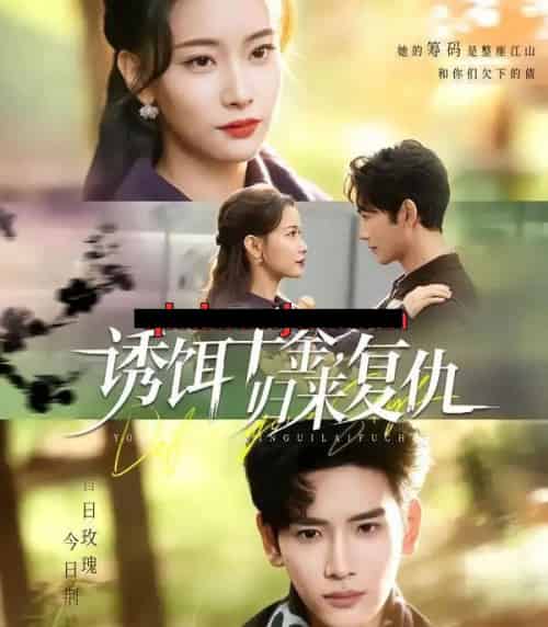 诱饵千金，归来复仇（67集全）尹晨攒＆谷乐晨-搜外项目网