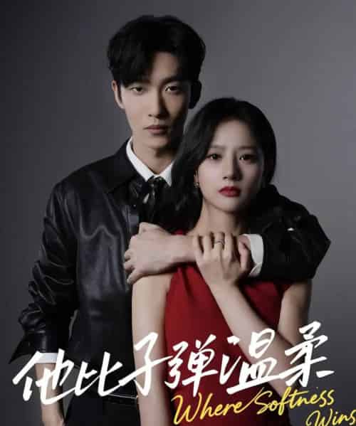 他比子弹温柔（68集全）姚冠宇＆朱丽岚-搜外项目网
