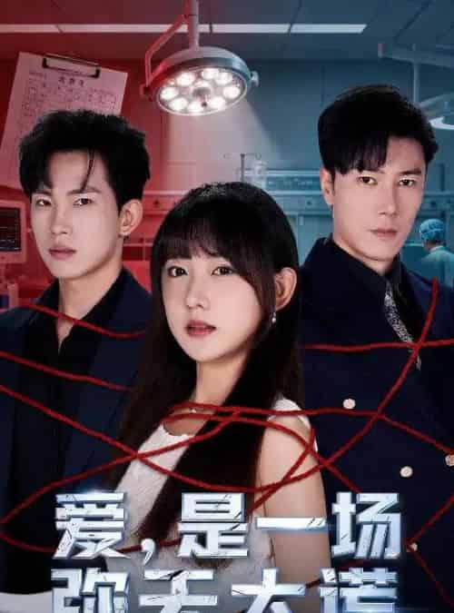 爱是一场弥天大谎(60集全)岳杨&顾书齐-搜外项目网